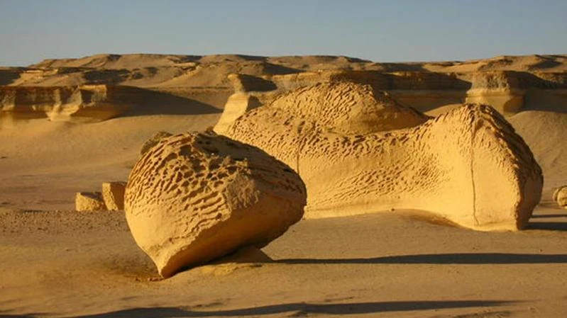 Fayoum Valley of the Whales, 17 G Egypt Travel Booking